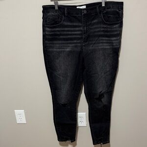 BKE Black Skinny Distressed Women's Jeans